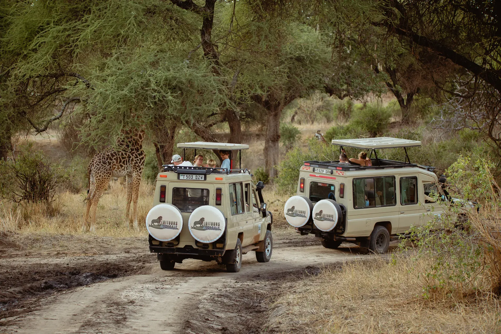 Wildlife in an East African safari landscape